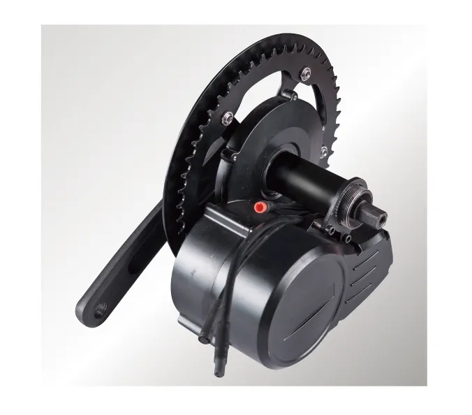 SM-M250 250W/350W 36V/48V Geared Hub Motor 2