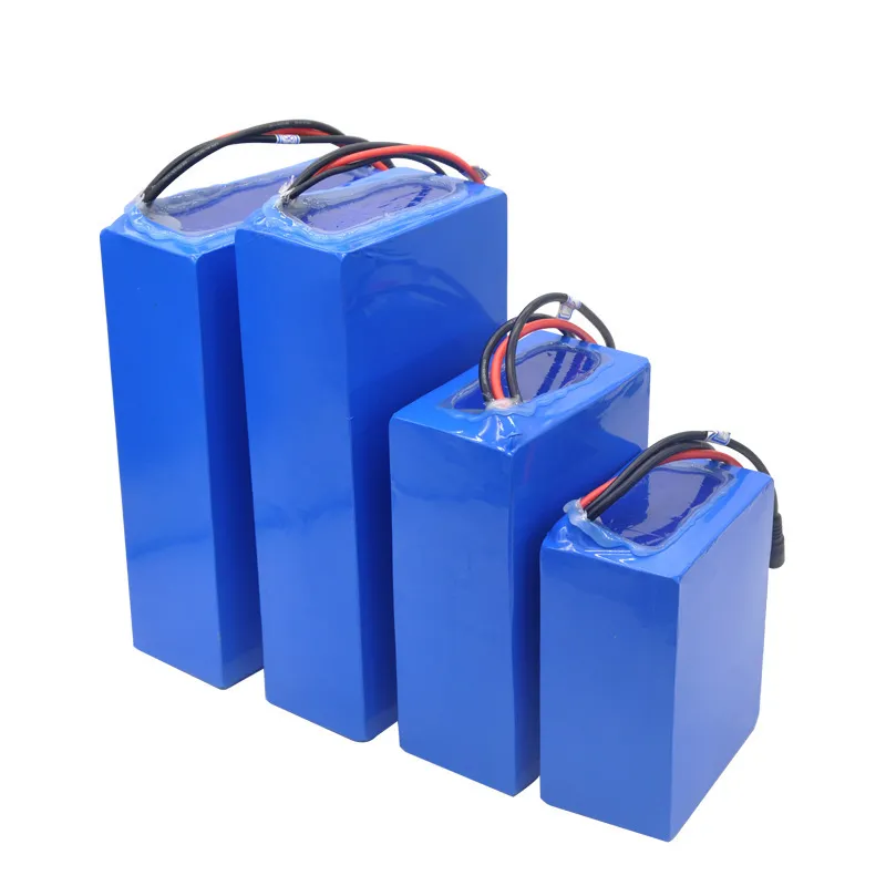 48V Electric Vehicle Lithium Battery 24V Lithium Battery Pack 2